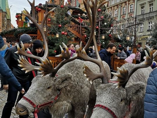 Jarmark Bożonarodzeniowy we Wrocławiu