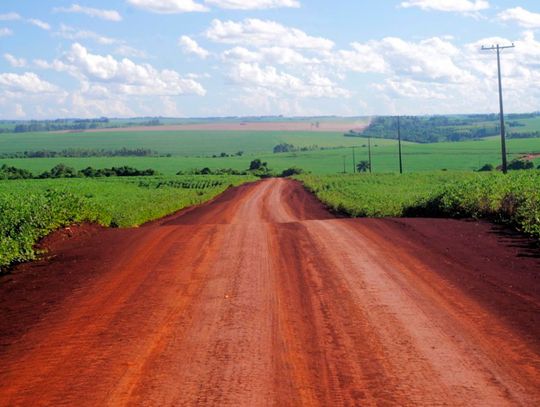 Wschodni Paragwaj to jedna wielka plantacja soi