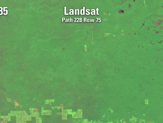 To dwa bliźniacze zdjęcia tej samej frakcji paragwajskiego Chaco (zachodni Paragwaj) sfotografowane przez satelitę Landstat w 1985 i 2020 roku