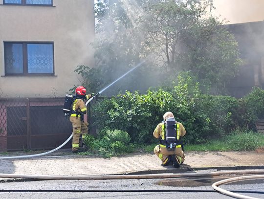 Pożar na ulicy Różanej