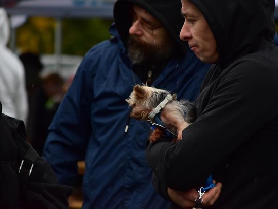 Psi piknik z pogodą... pod psem