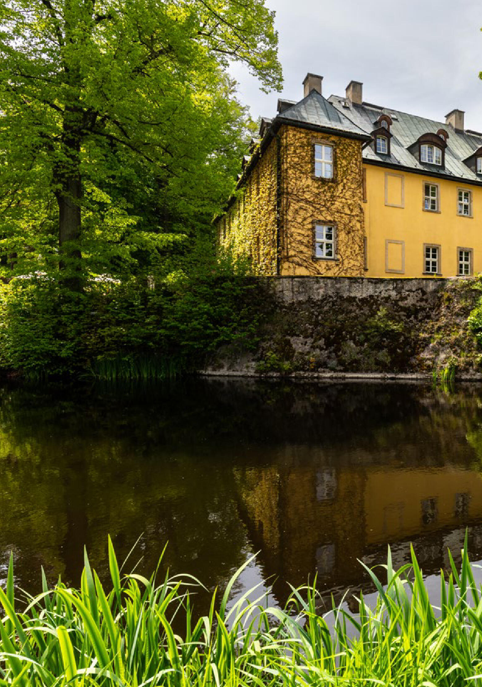 Dolny Śląsk po królewsku - strona 176