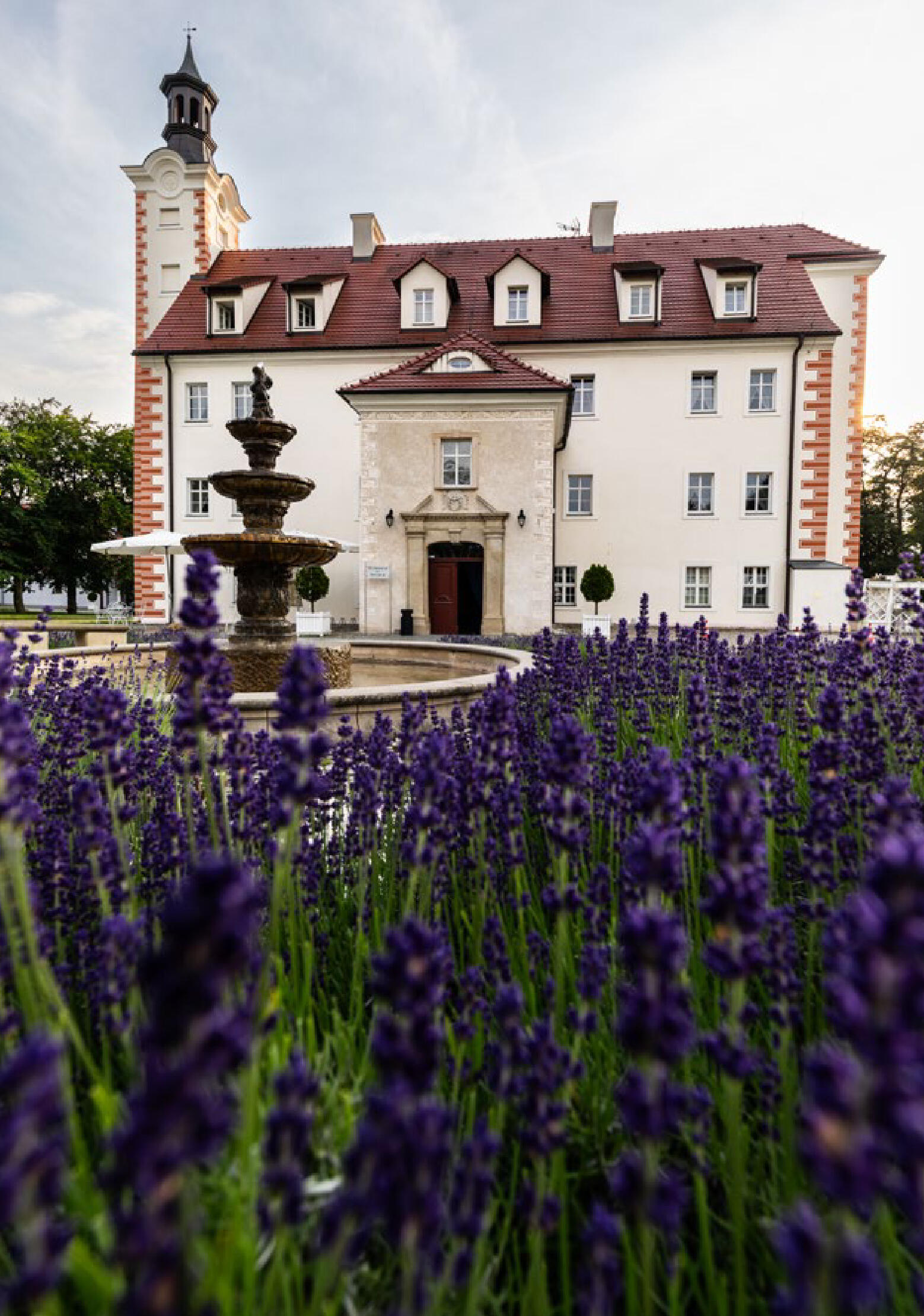 Dolny Śląsk po królewsku - strona 211