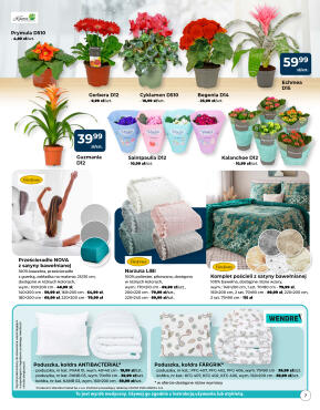 Mrówka styczeń - strona 7