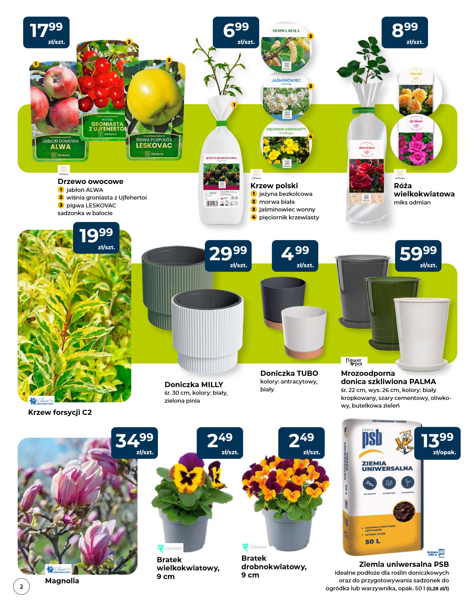 Mrówka - marzec - strona 2