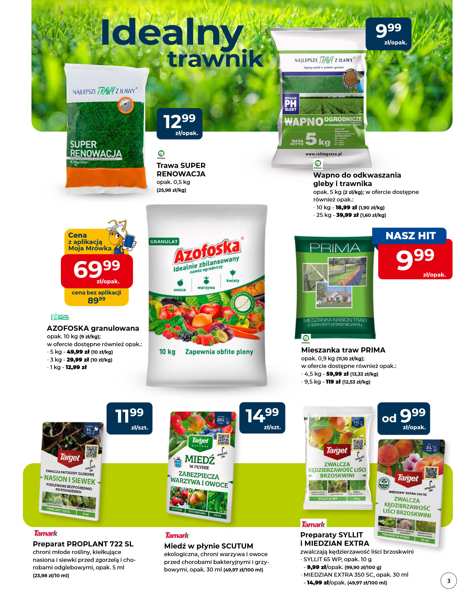 Mrówka - marzec - strona 3