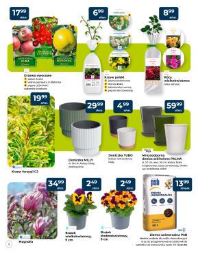 Mrówka - marzec - strona 2