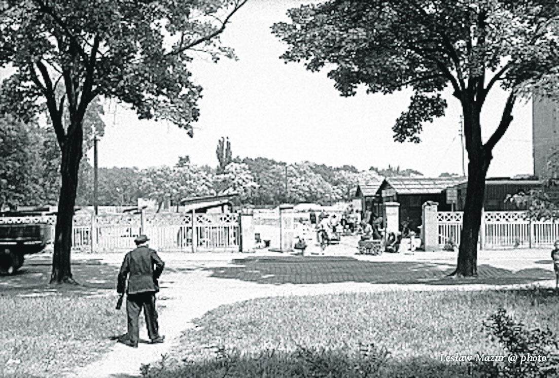 Gazeta Powiatowa - Wiadomości Oławskie