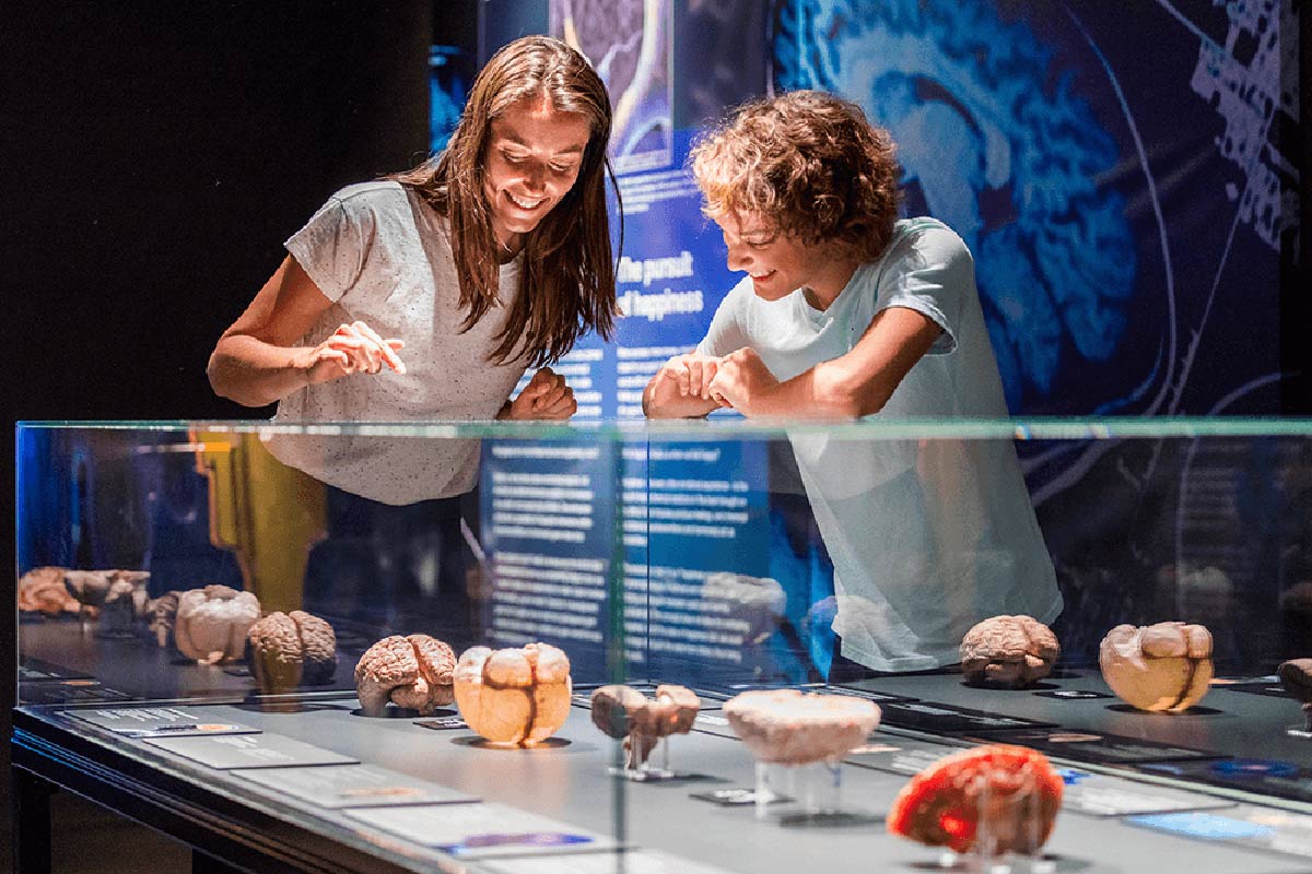 BODY WORLDS 
