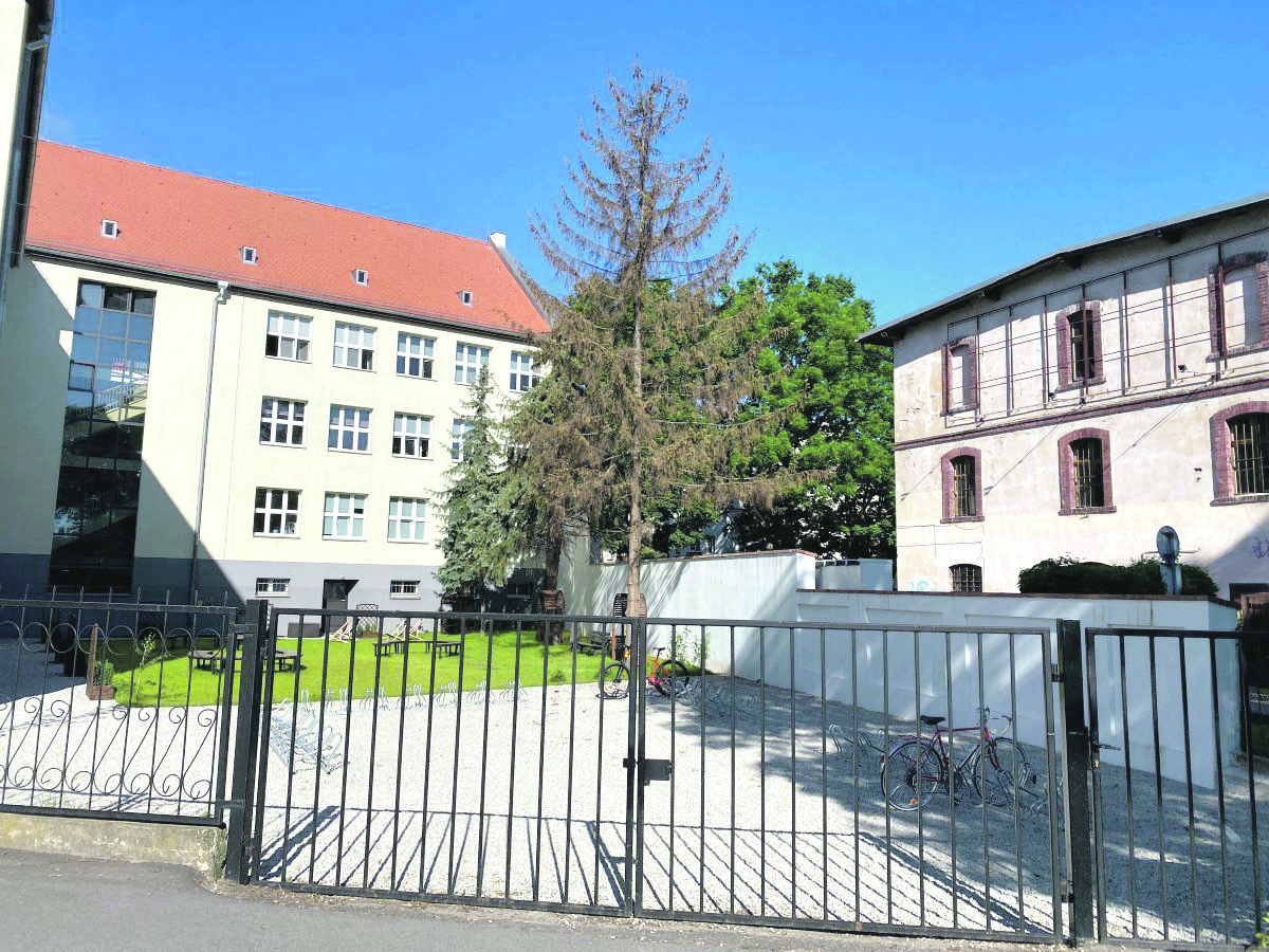 Historia Oławy